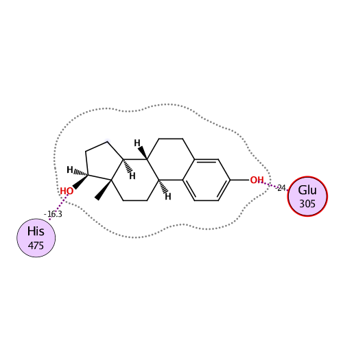 ligand interaction