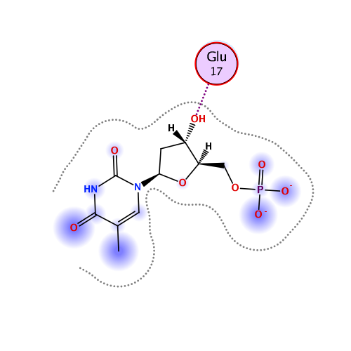 ligand interaction