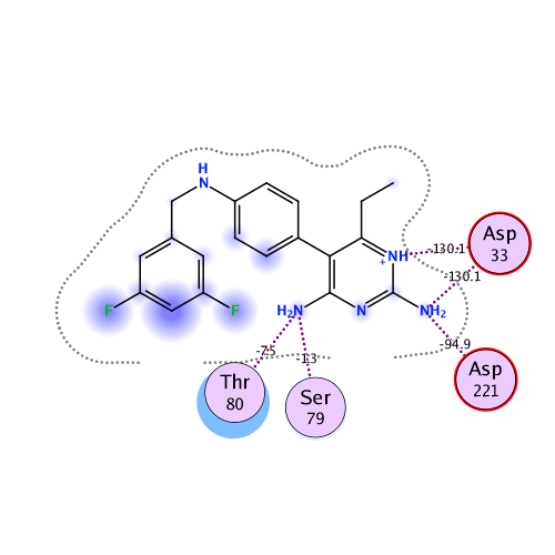 ligand interaction