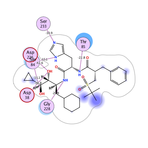 ligand interaction