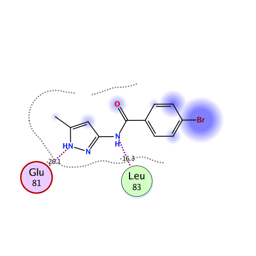 ligand interaction