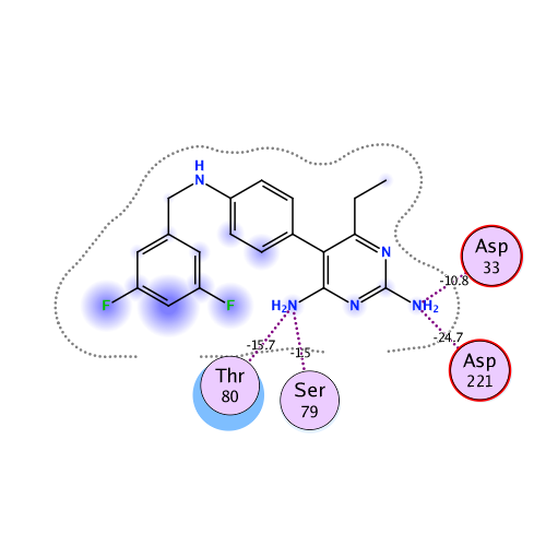 ligand interaction