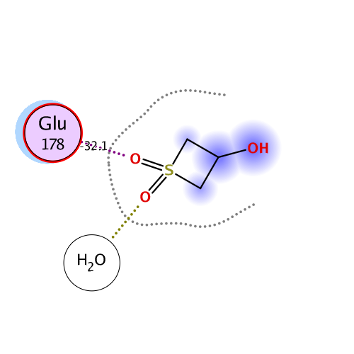 ligand interaction