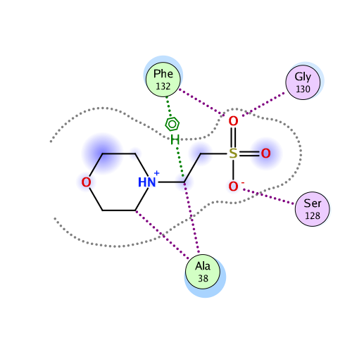 ligand interaction