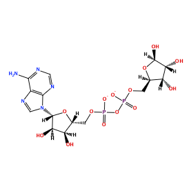 ligand structure