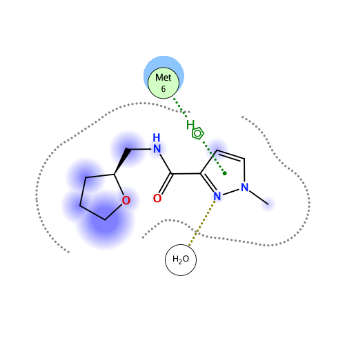 ligand interaction