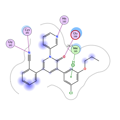 ligand interaction