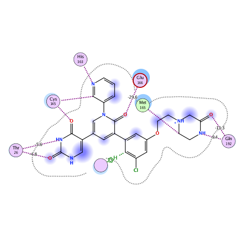 ligand interaction