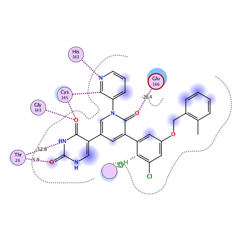 ligand interaction