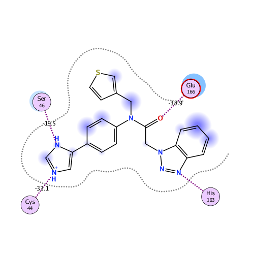 ligand interaction