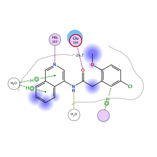 ligand interaction