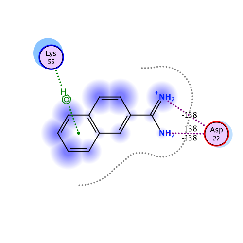 ligand interaction