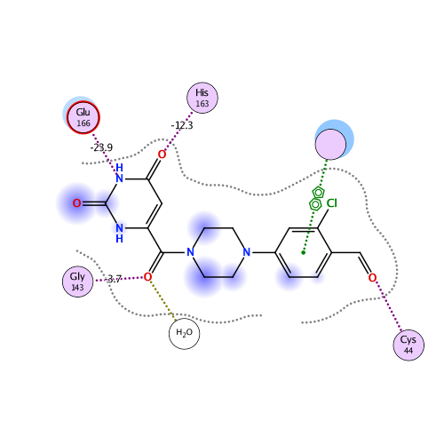 ligand interaction