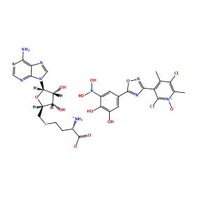 ligand structure