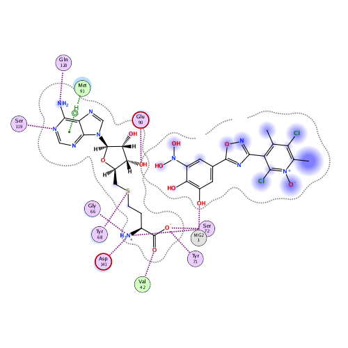 ligand interaction