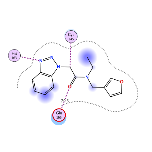 ligand interaction