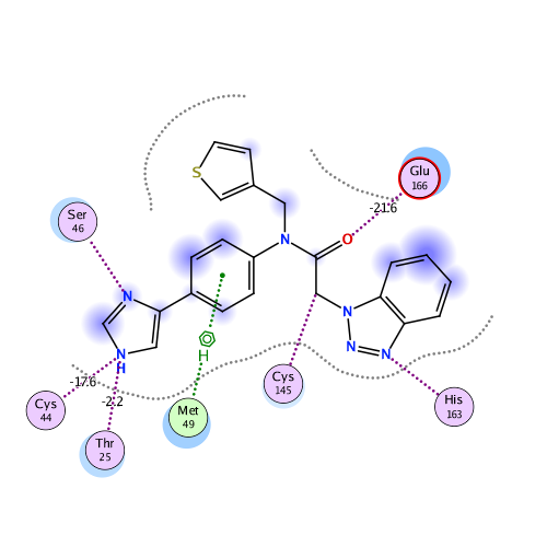 ligand interaction