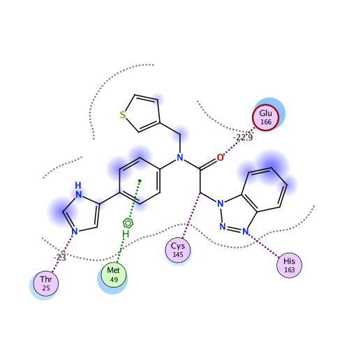 ligand interaction