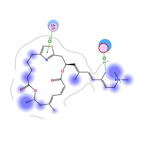 ligand interaction