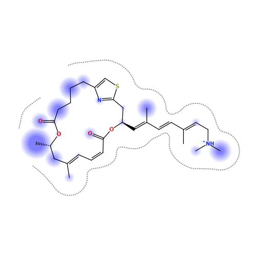 ligand interaction