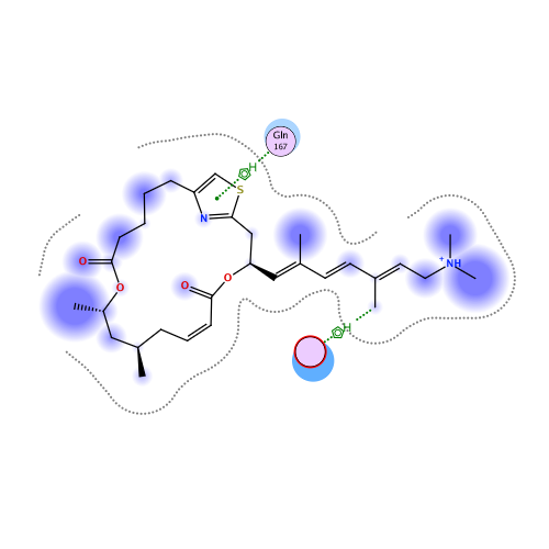 ligand interaction