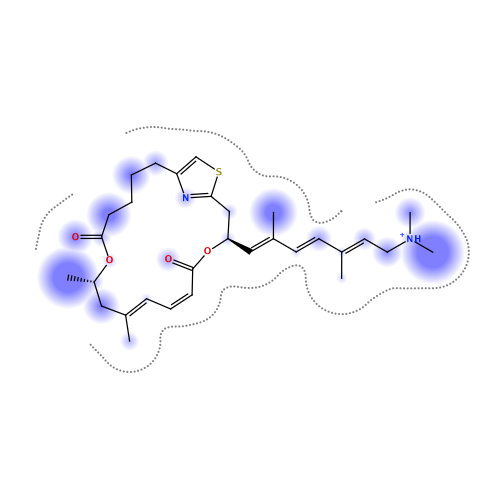 ligand interaction