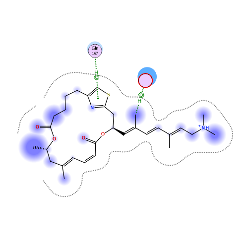 ligand interaction