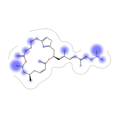 ligand interaction