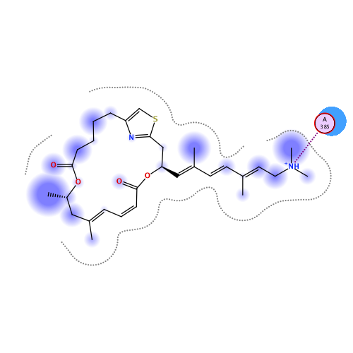 ligand interaction