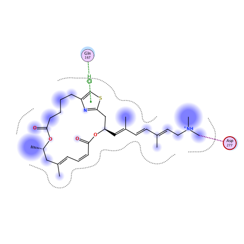 ligand interaction