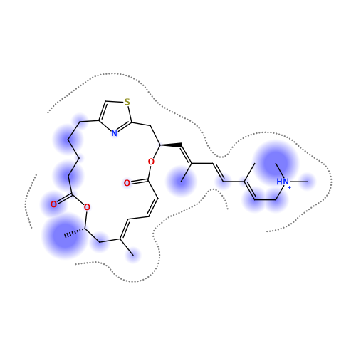 ligand interaction