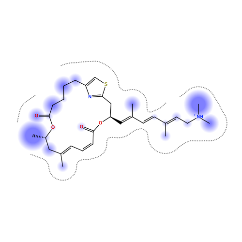 ligand interaction