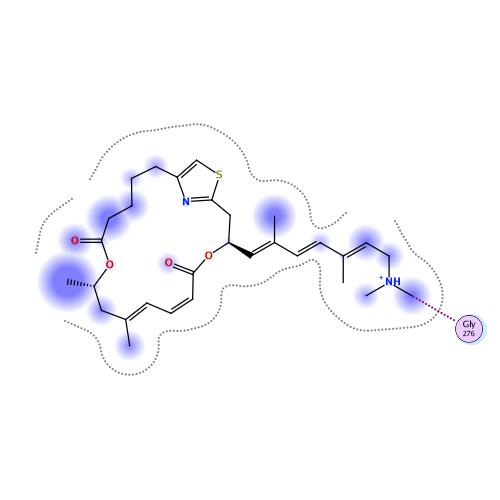 ligand interaction