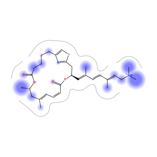 ligand interaction