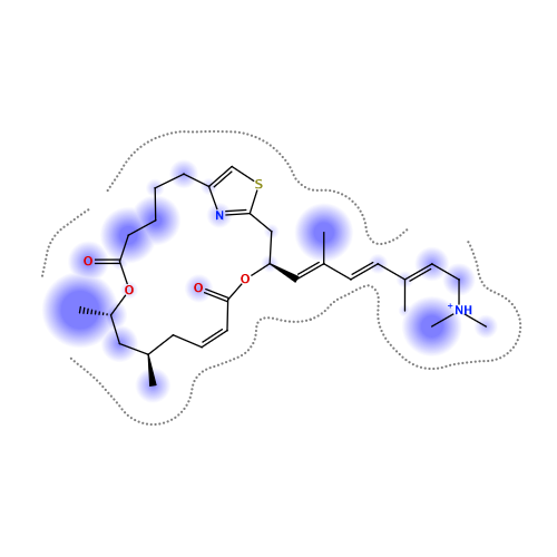 ligand interaction