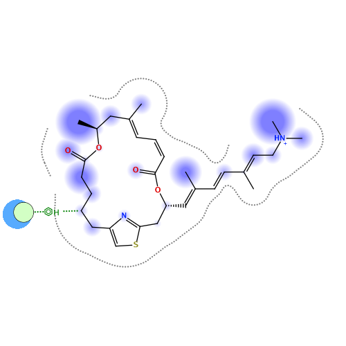 ligand interaction