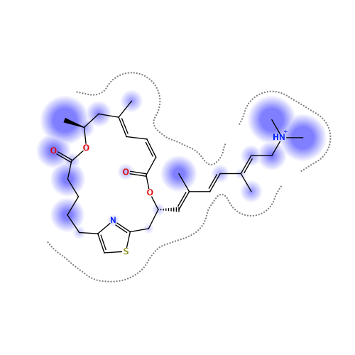 ligand interaction