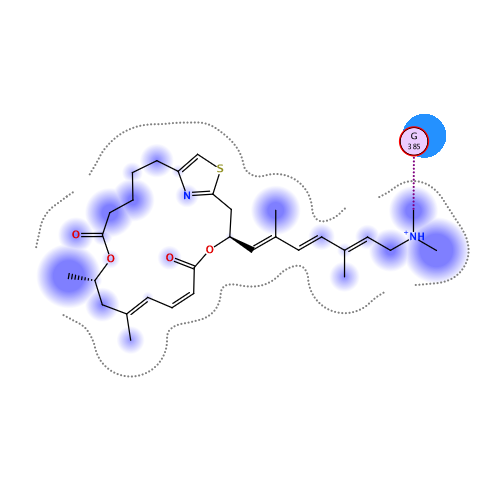 ligand interaction