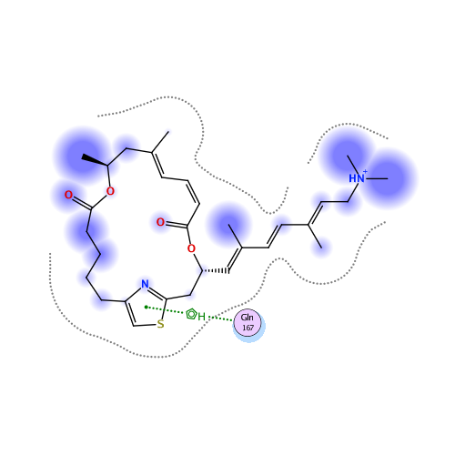 ligand interaction