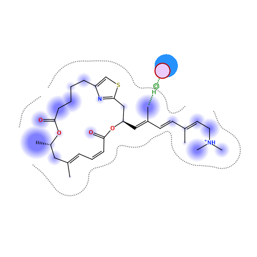 ligand interaction