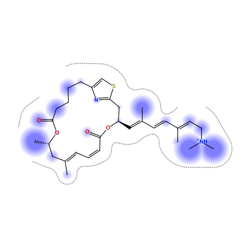 ligand interaction