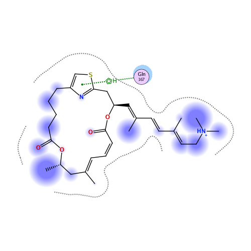 ligand interaction