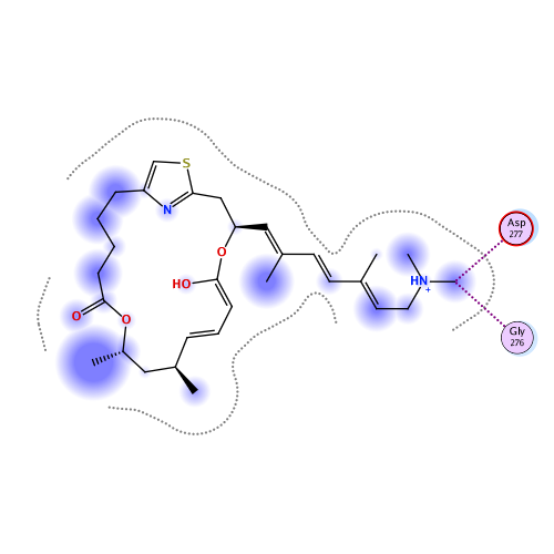 ligand interaction