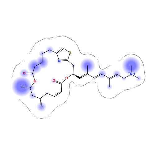 ligand interaction