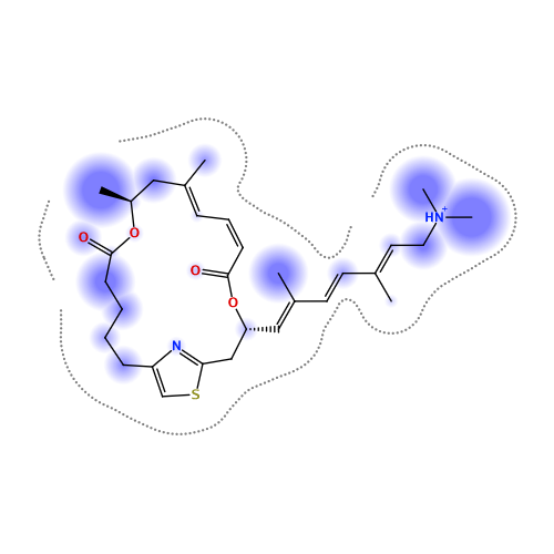 ligand interaction