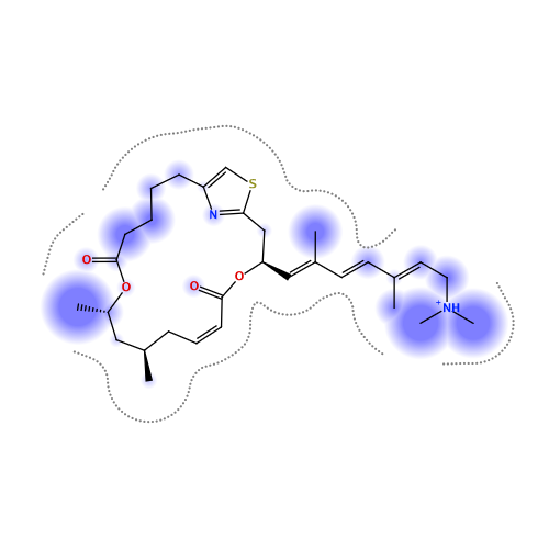 ligand interaction