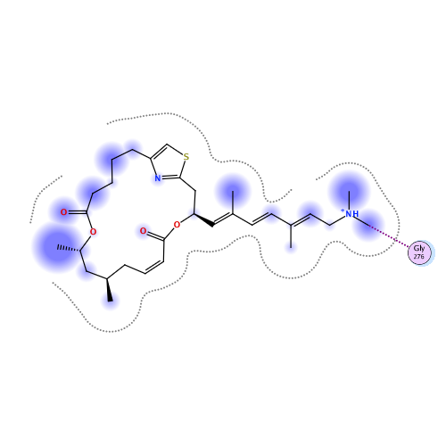 ligand interaction