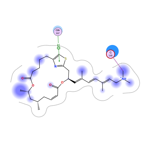 ligand interaction