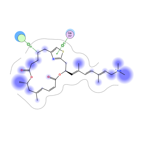 ligand interaction