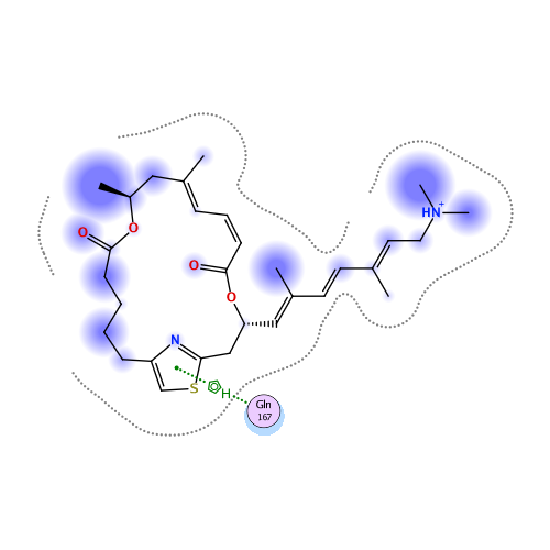 ligand interaction